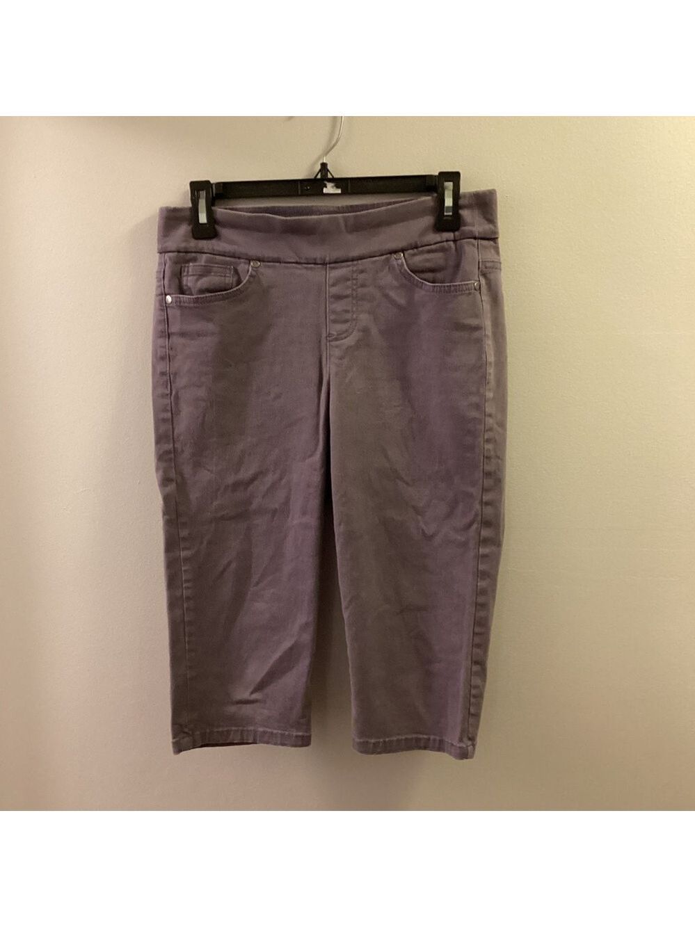 Gloria Vanderbilt All Around Slimming Woman’s size 8 petite skimmer pant